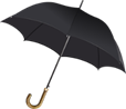 Une image contenant parapluie, accessoire

Le contenu g&eacute;n&eacute;r&eacute; par l’IA peut &ecirc;tre incorrect.